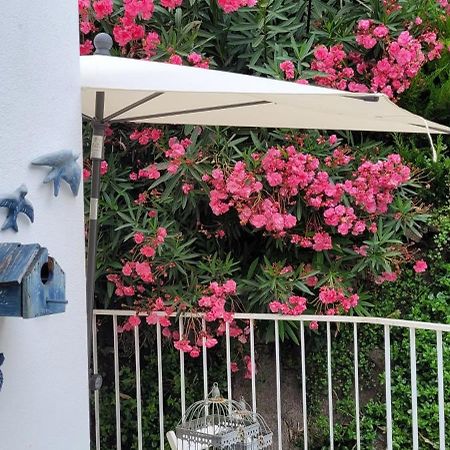 Red House By The River Apartment Porto Bagian luar foto