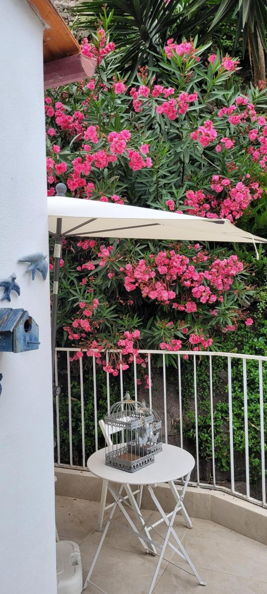 Red House By The River Apartment Porto Bagian luar foto